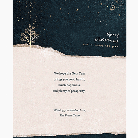 Sparkling Snow Christmas Card